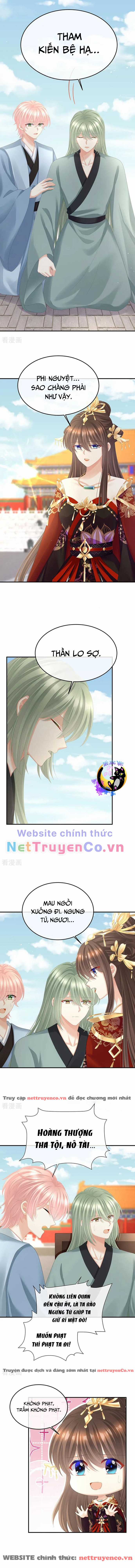 Hậu Cung Của Nữ Đế - Mùa 2 Chapter 47 trang 1