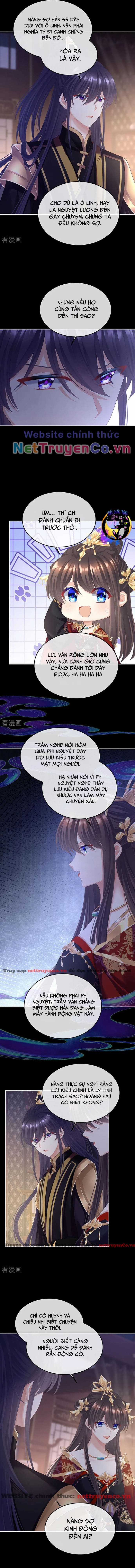 Hậu Cung Của Nữ Đế - Mùa 2 Chapter 49 trang 3