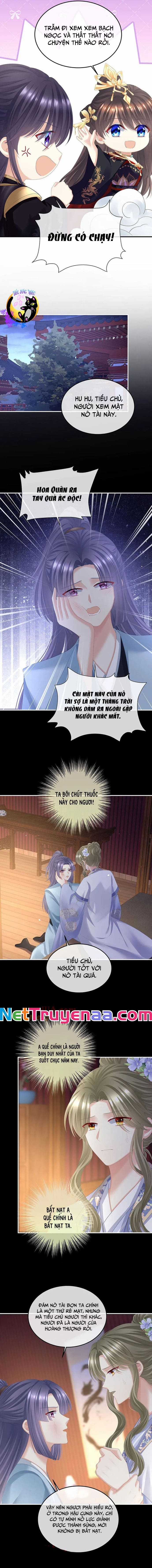 Hậu Cung Của Nữ Đế - Mùa 2 Chapter 55 trang 1