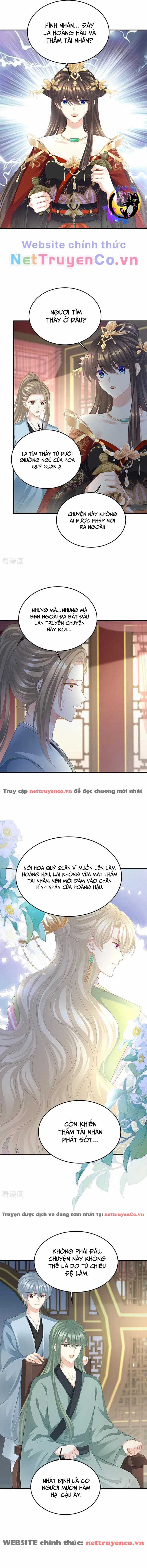 Hậu Cung Của Nữ Đế - Mùa 2 Chapter 60 trang 5