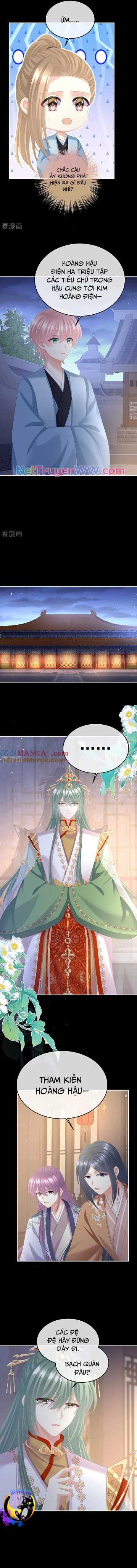 Hậu Cung Của Nữ Đế - Mùa 2 Chapter 81 trang 2