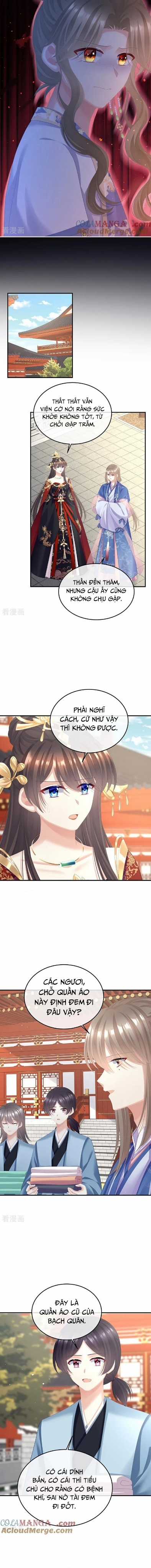 Hậu Cung Của Nữ Đế - Mùa 2 Chapter 82 trang 3