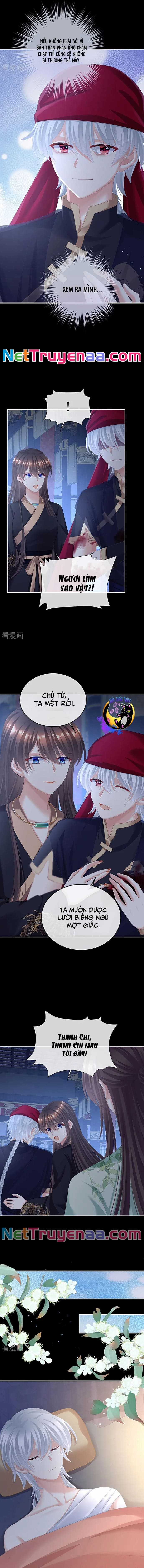 Hậu Cung Của Nữ Đế - Mùa 2 Chapter 85 trang 5