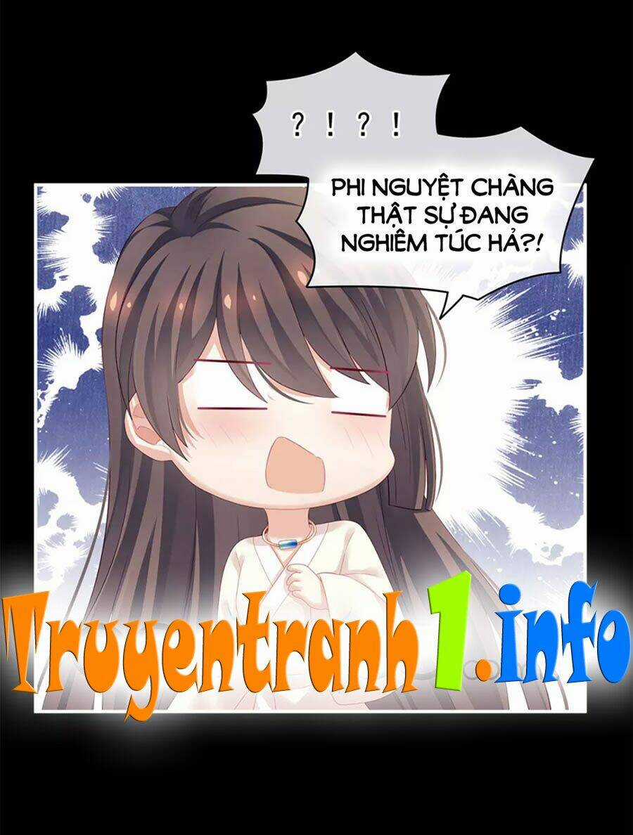 Hậu Cung Của Nữ Đế Chapter 125 trang 0