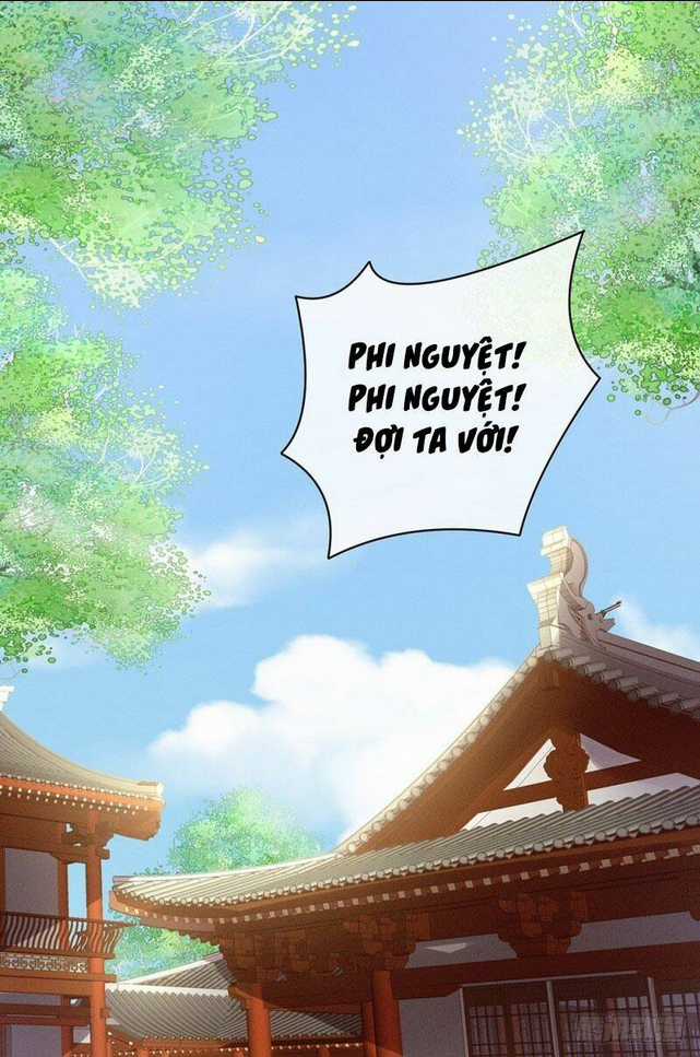 Hậu Cung Của Nữ Đế Chapter 19 trang 19
