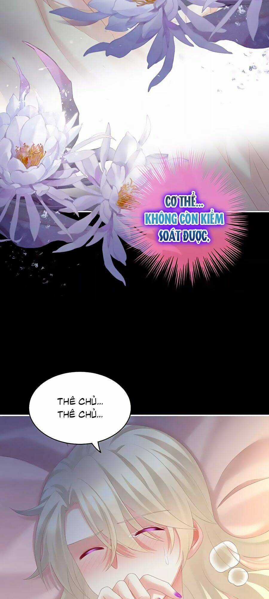 Hậu Cung Của Nữ Đế Chapter 191 trang 35