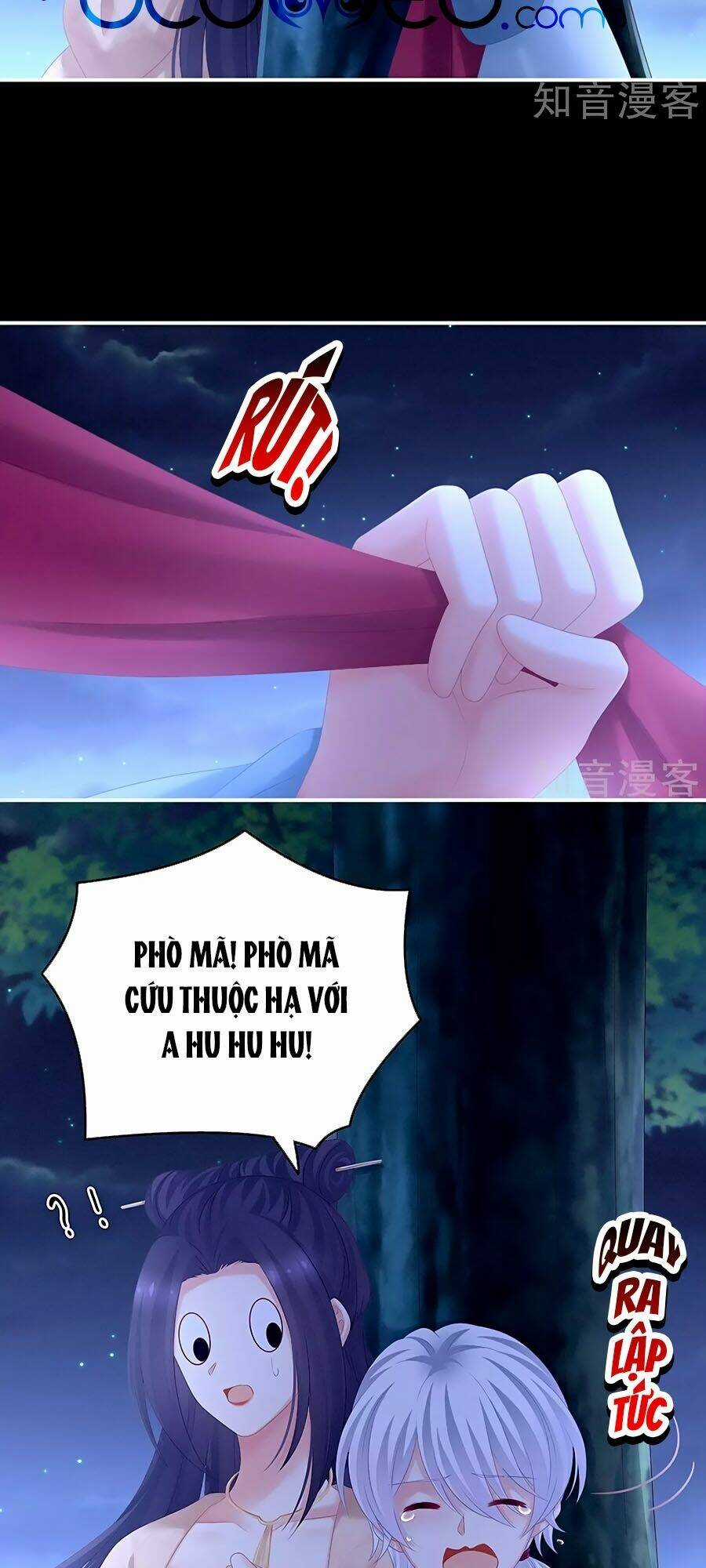 Hậu Cung Của Nữ Đế Chapter 192 trang 19