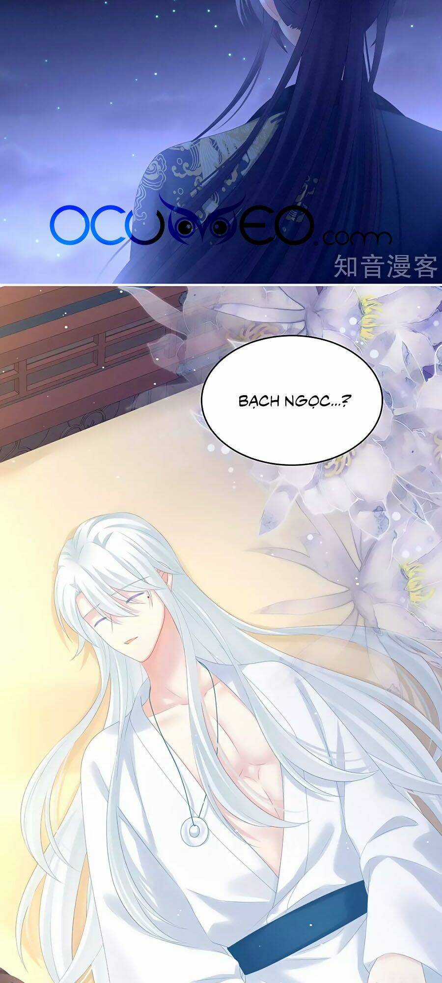 Hậu Cung Của Nữ Đế Chapter 197 trang 20