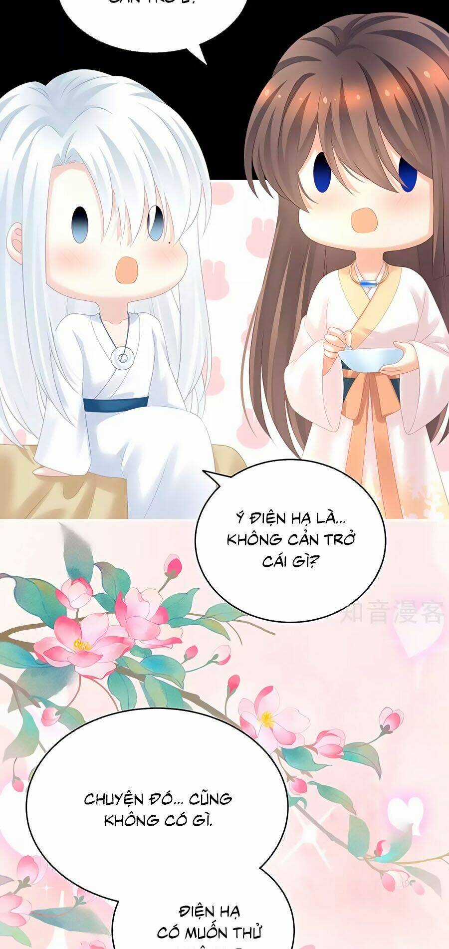 Hậu Cung Của Nữ Đế Chapter 197 trang 4