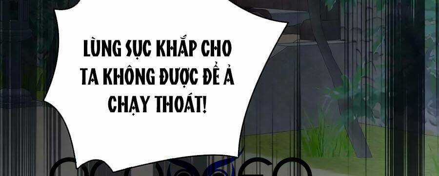 Hậu Cung Của Nữ Đế Chapter 198 trang 19