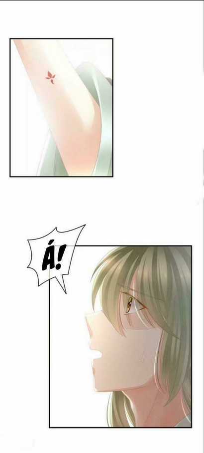 Hậu Cung Của Nữ Đế Chapter 20 trang 28