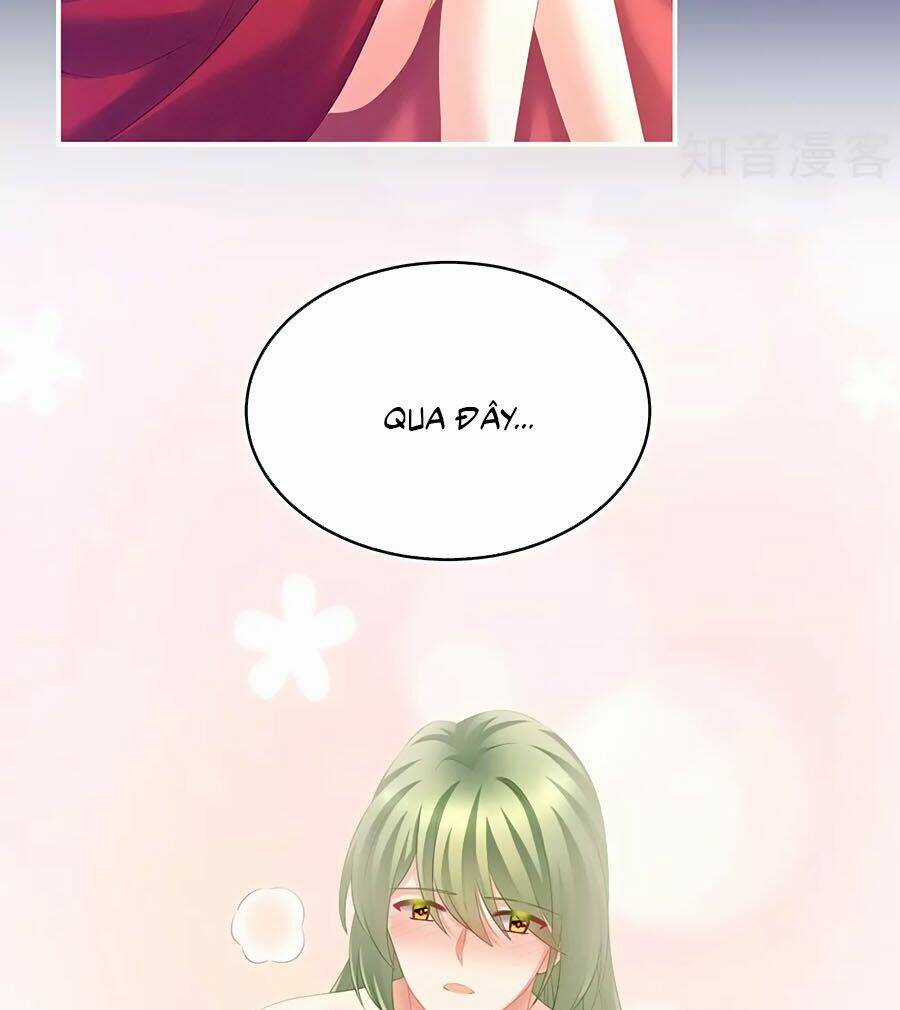 Hậu Cung Của Nữ Đế Chapter 201 trang 25