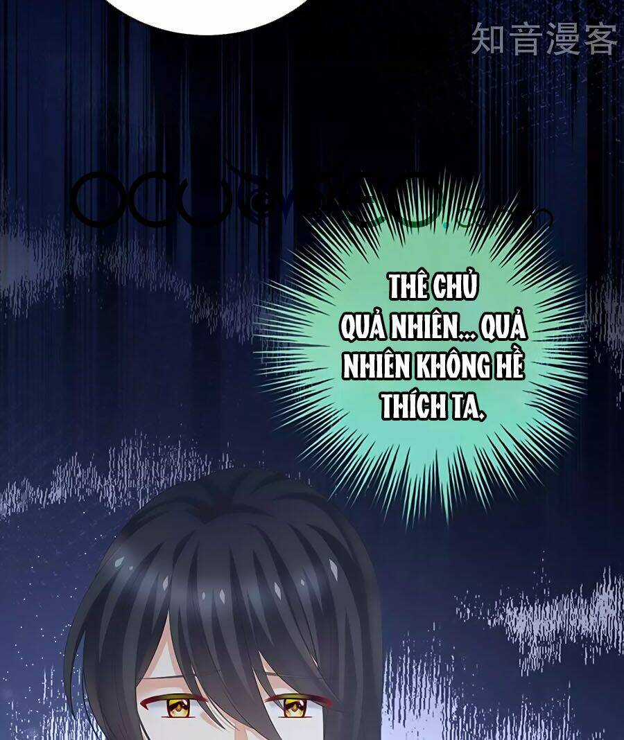 Hậu Cung Của Nữ Đế Chapter 202 trang 24