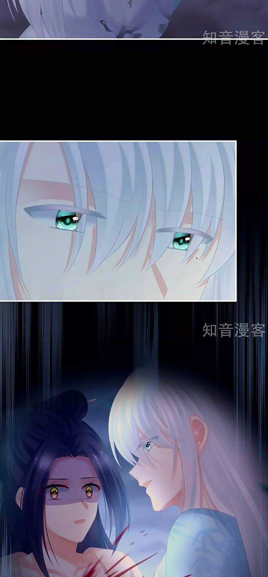 Hậu Cung Của Nữ Đế Chapter 203 trang 1