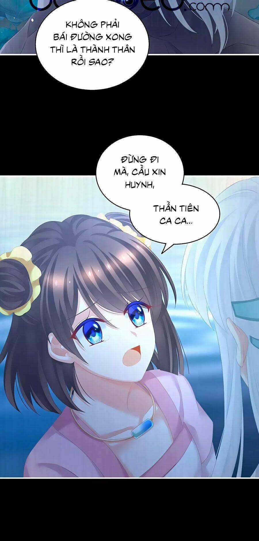 Hậu Cung Của Nữ Đế Chapter 203 trang 11