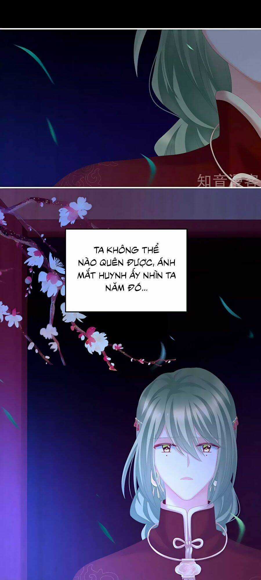 Hậu Cung Của Nữ Đế Chapter 203 trang 13