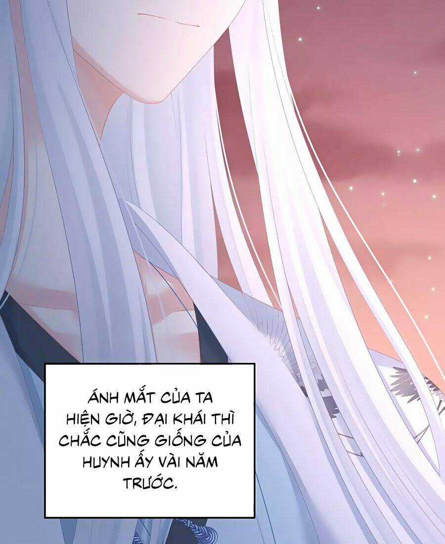 Hậu Cung Của Nữ Đế Chapter 203 trang 16