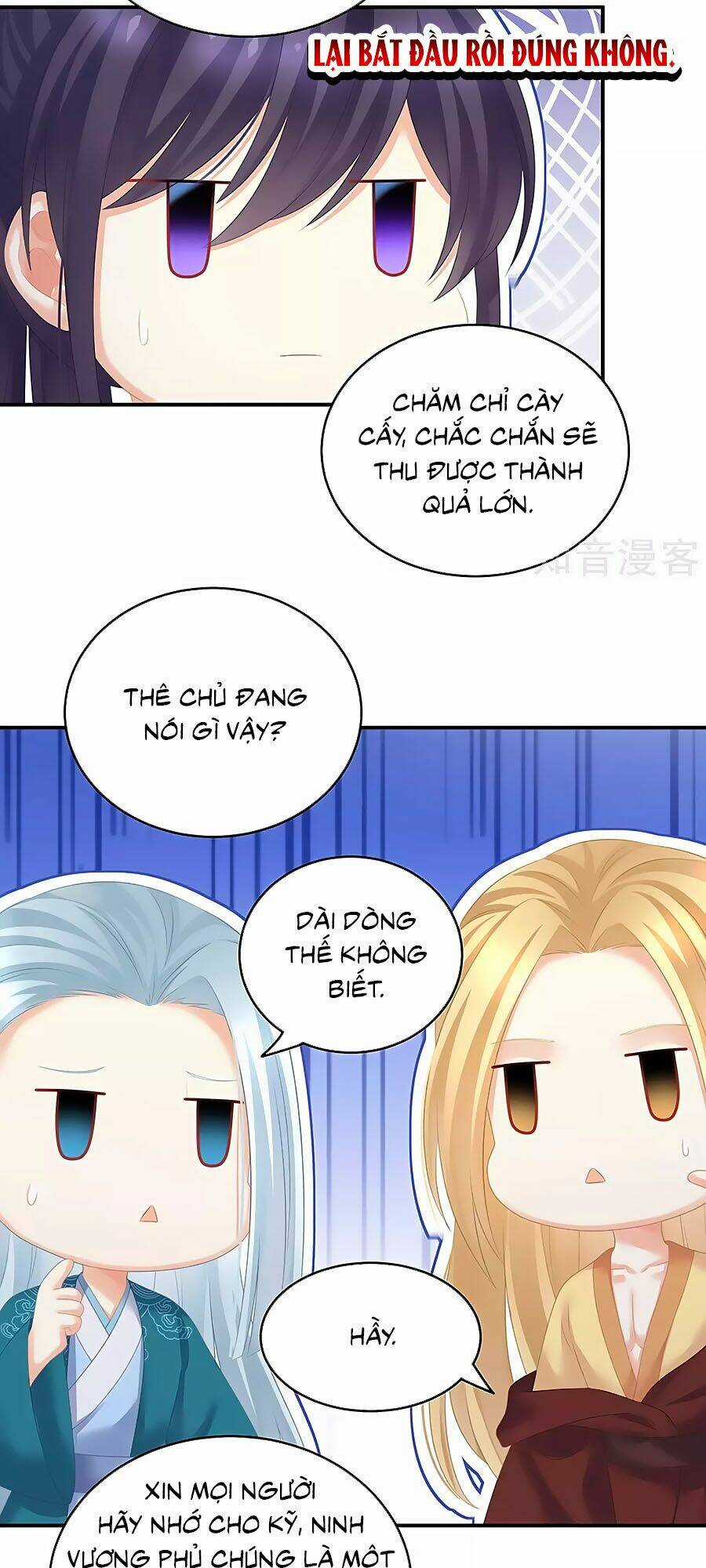 Hậu Cung Của Nữ Đế Chapter 204 trang 16