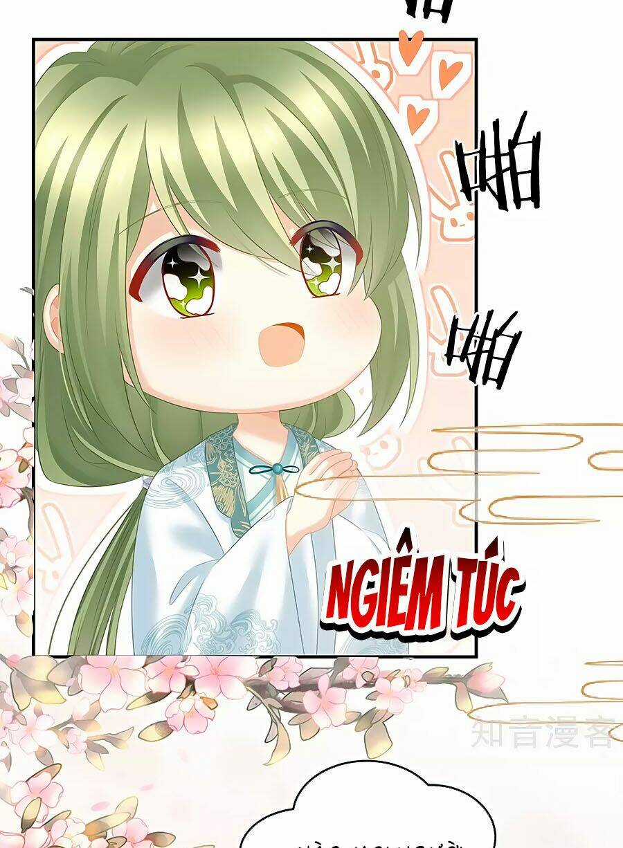 Hậu Cung Của Nữ Đế Chapter 204 trang 18