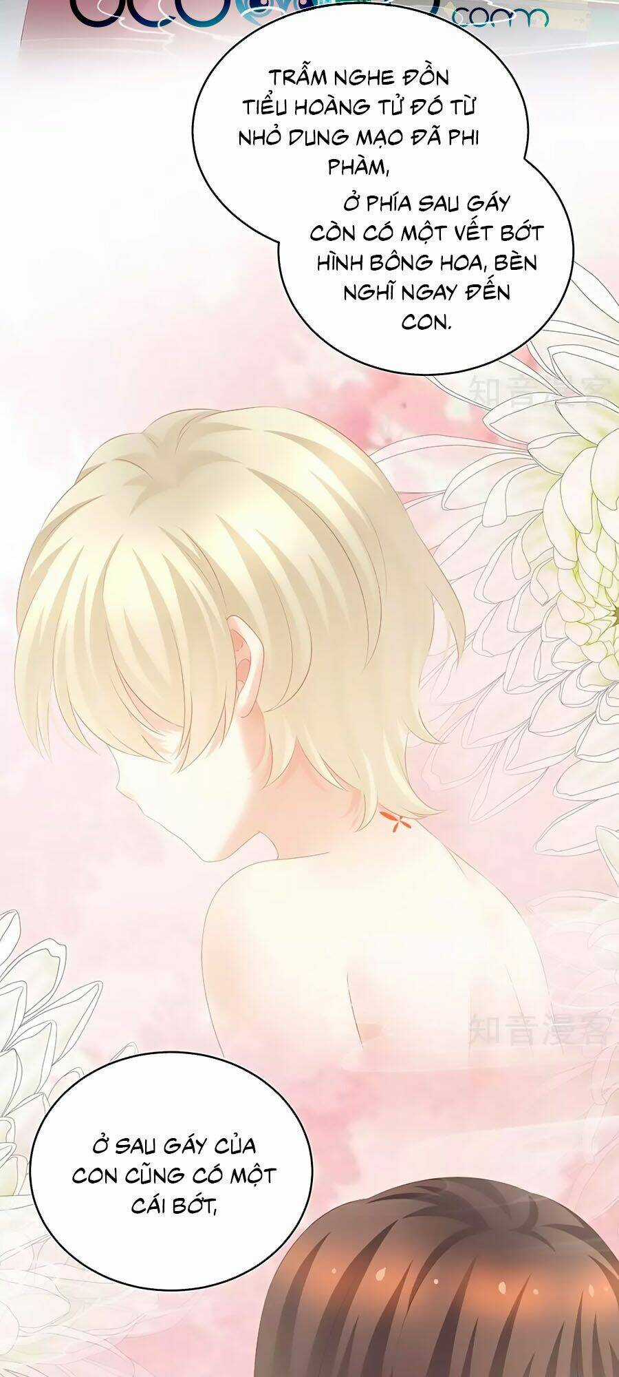 Hậu Cung Của Nữ Đế Chapter 209 trang 30