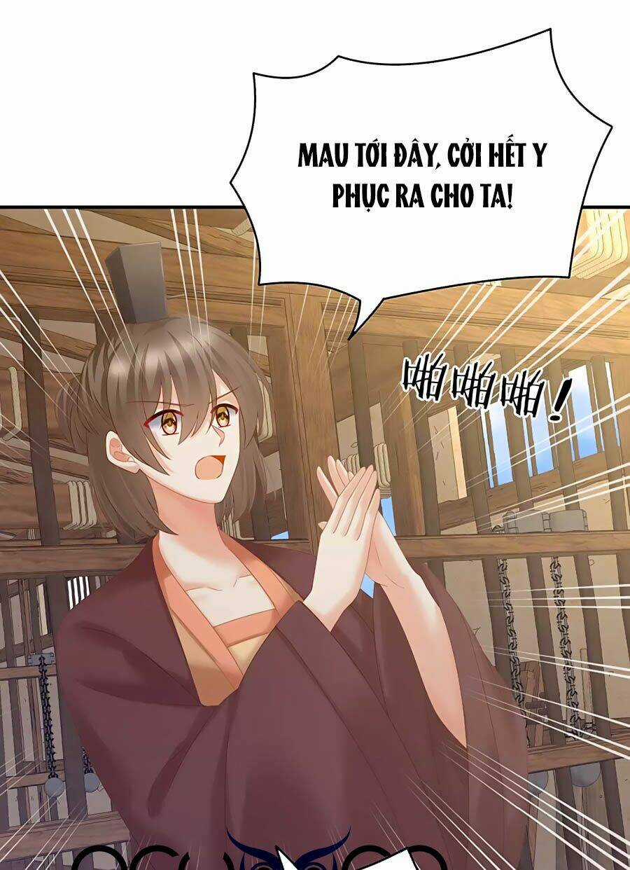 Hậu Cung Của Nữ Đế Chapter 210 trang 0