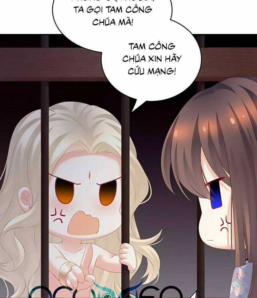 Hậu Cung Của Nữ Đế Chapter 210 trang 12