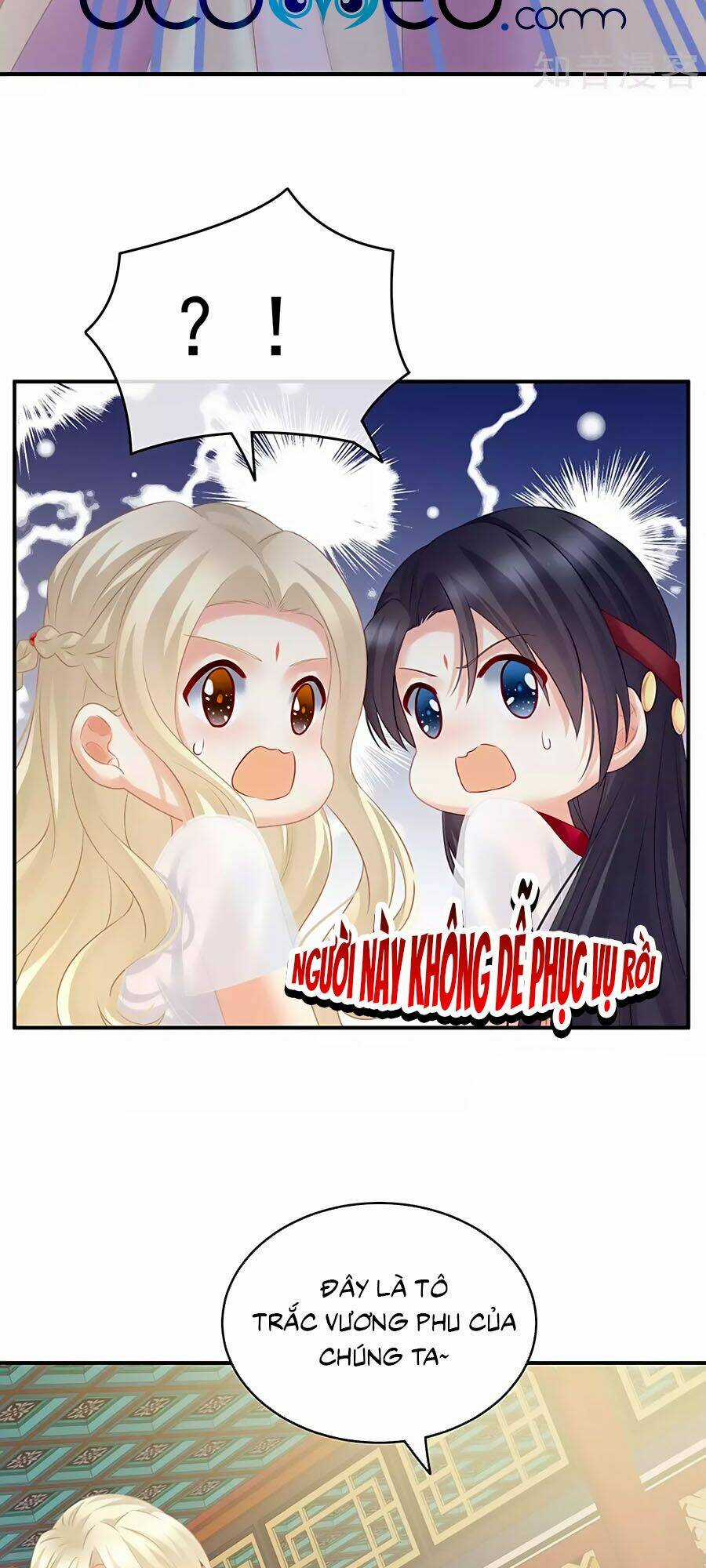 Hậu Cung Của Nữ Đế Chapter 211 trang 11