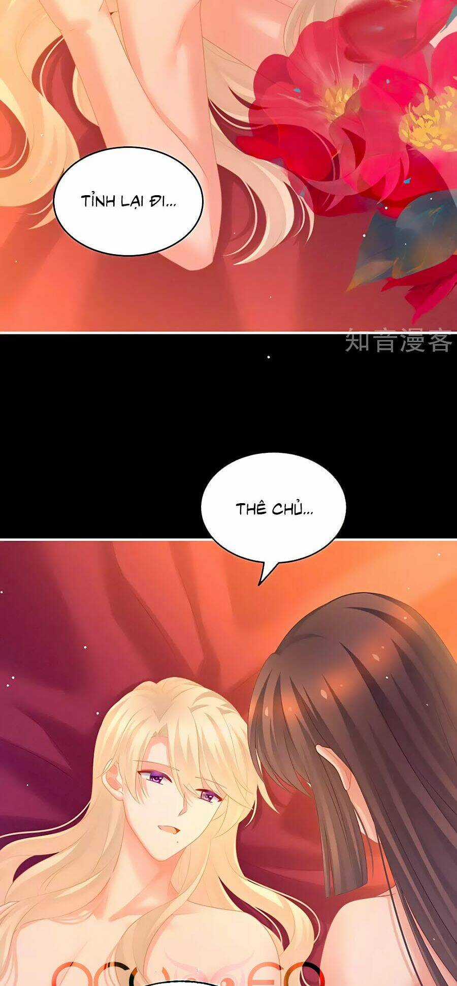 Hậu Cung Của Nữ Đế Chapter 212 trang 7