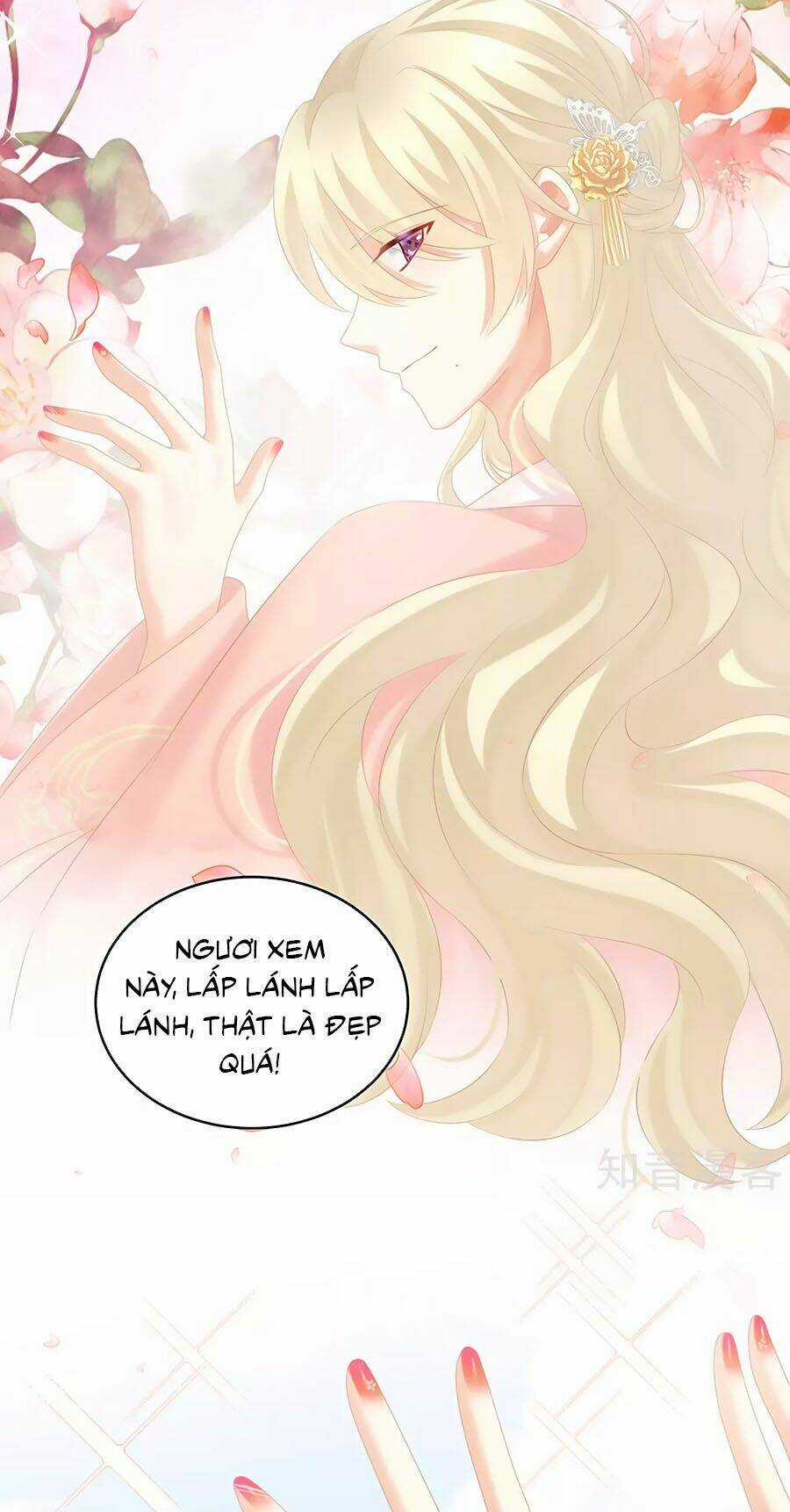 Hậu Cung Của Nữ Đế Chapter 213 trang 29