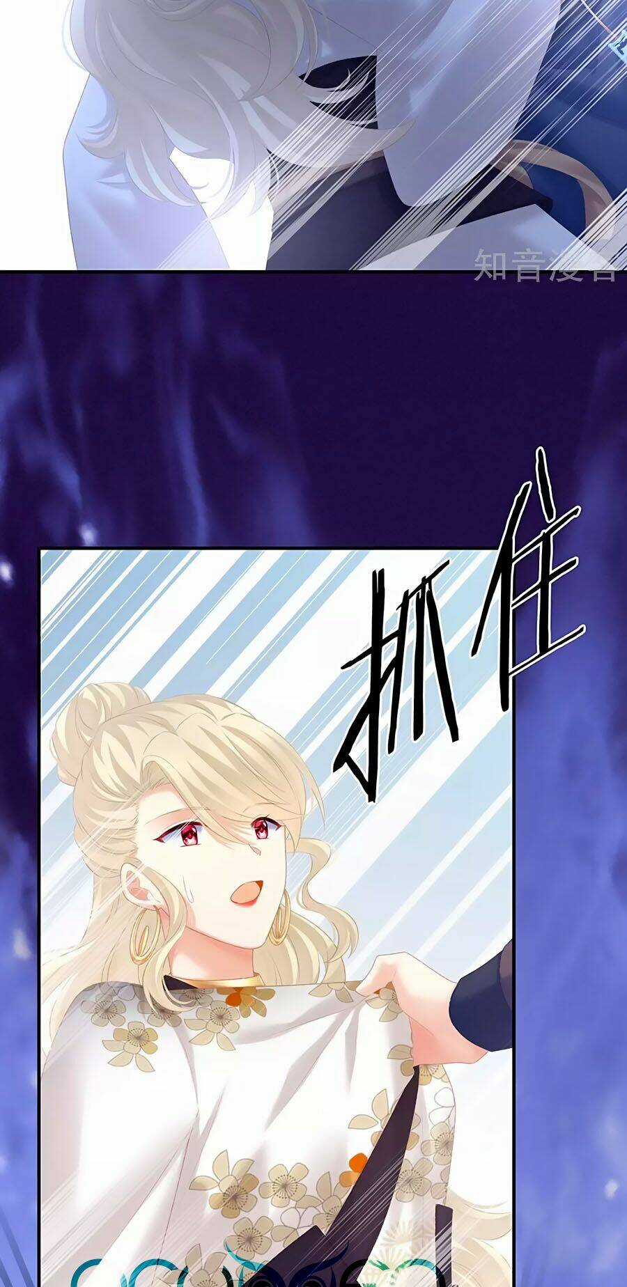 Hậu Cung Của Nữ Đế Chapter 217 trang 1