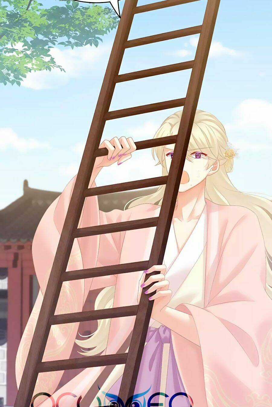 Hậu Cung Của Nữ Đế Chapter 217 trang 39