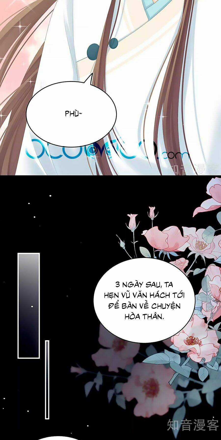 Hậu Cung Của Nữ Đế Chapter 219 trang 35