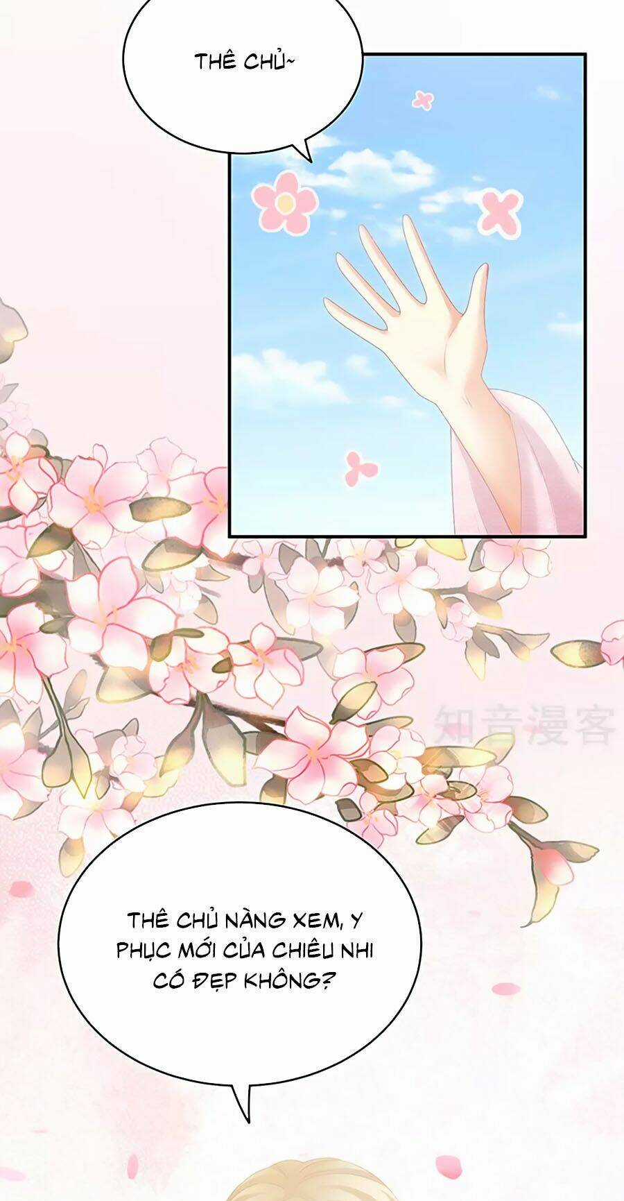 Hậu Cung Của Nữ Đế Chapter 220 trang 13