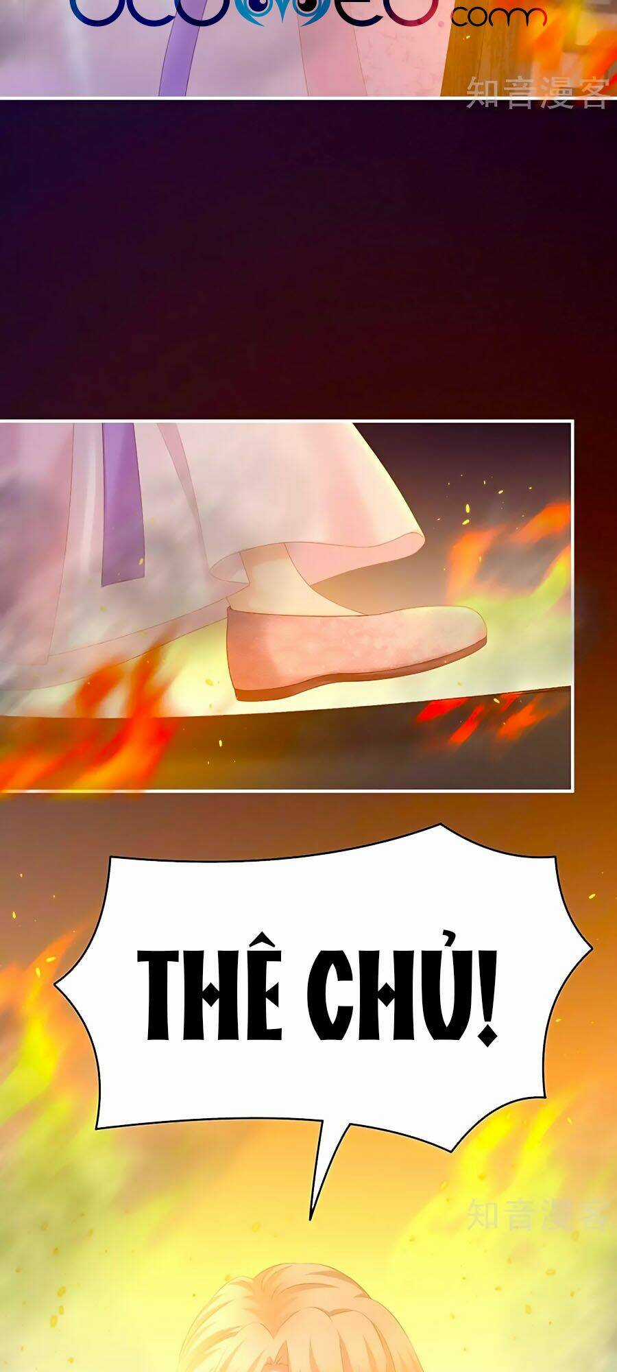 Hậu Cung Của Nữ Đế Chapter 222 trang 17