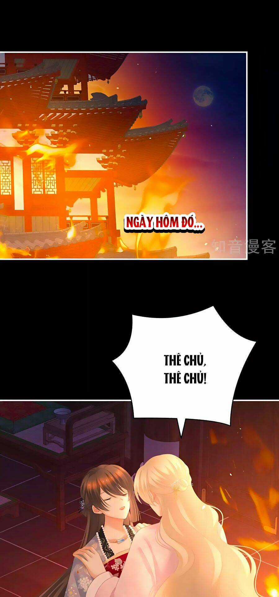 Hậu Cung Của Nữ Đế Chapter 223 trang 0