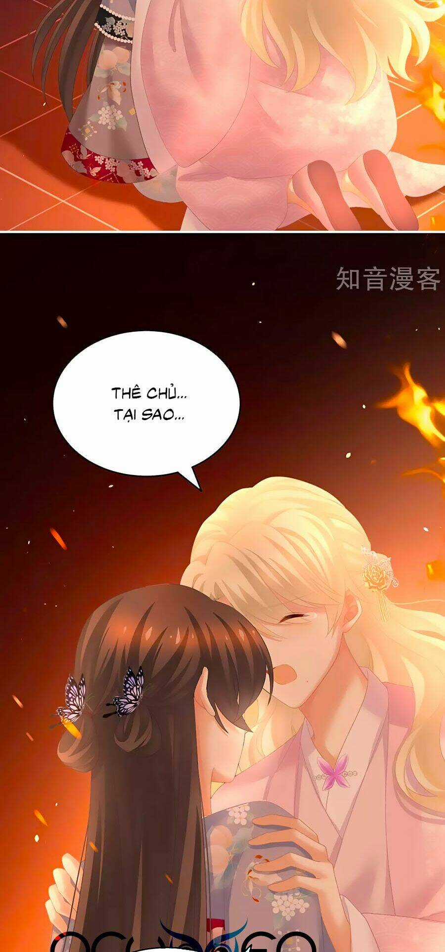 Hậu Cung Của Nữ Đế Chapter 223 trang 1