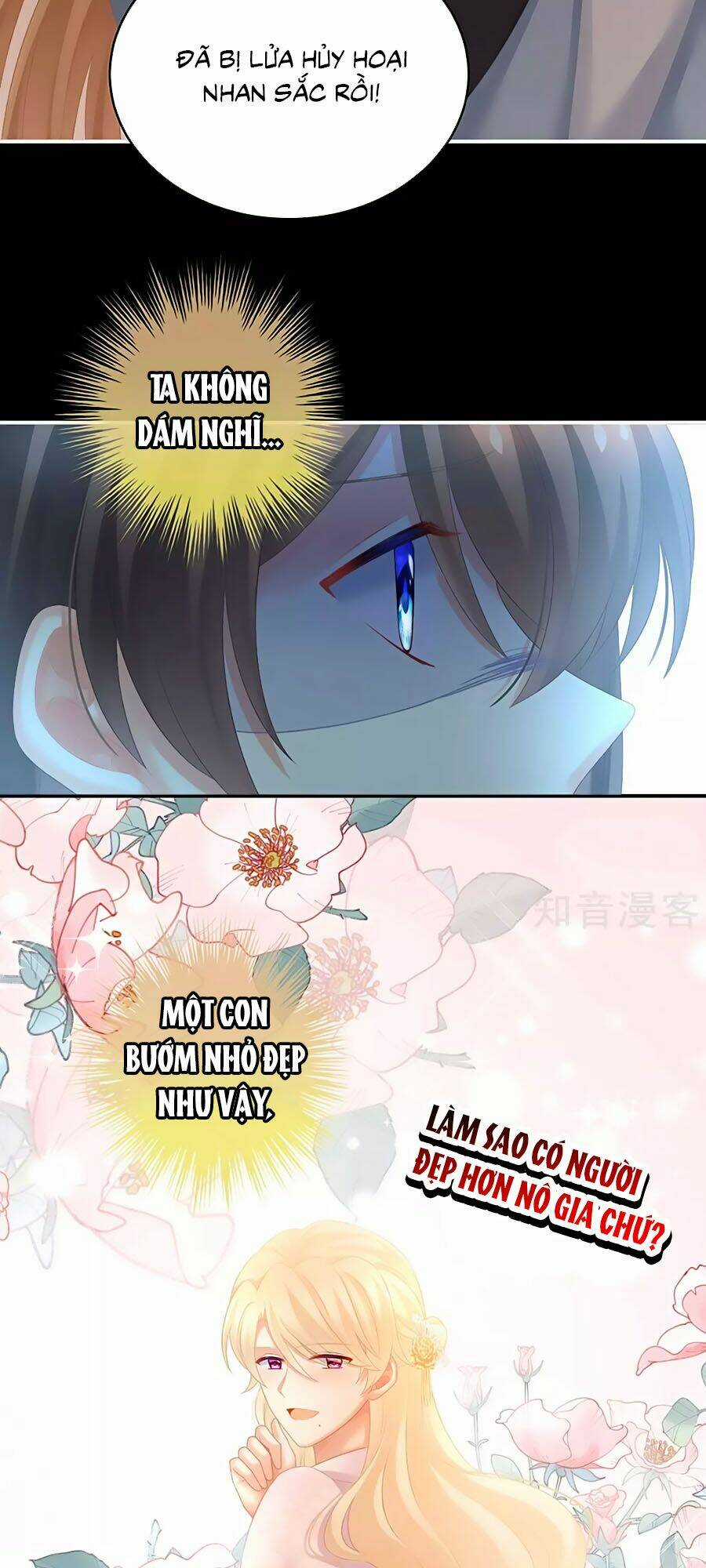 Hậu Cung Của Nữ Đế Chapter 223 trang 11