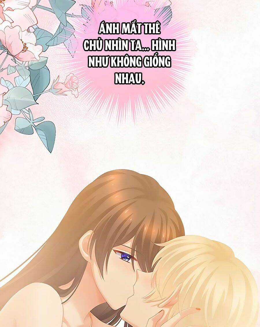 Hậu Cung Của Nữ Đế Chapter 224 trang 24