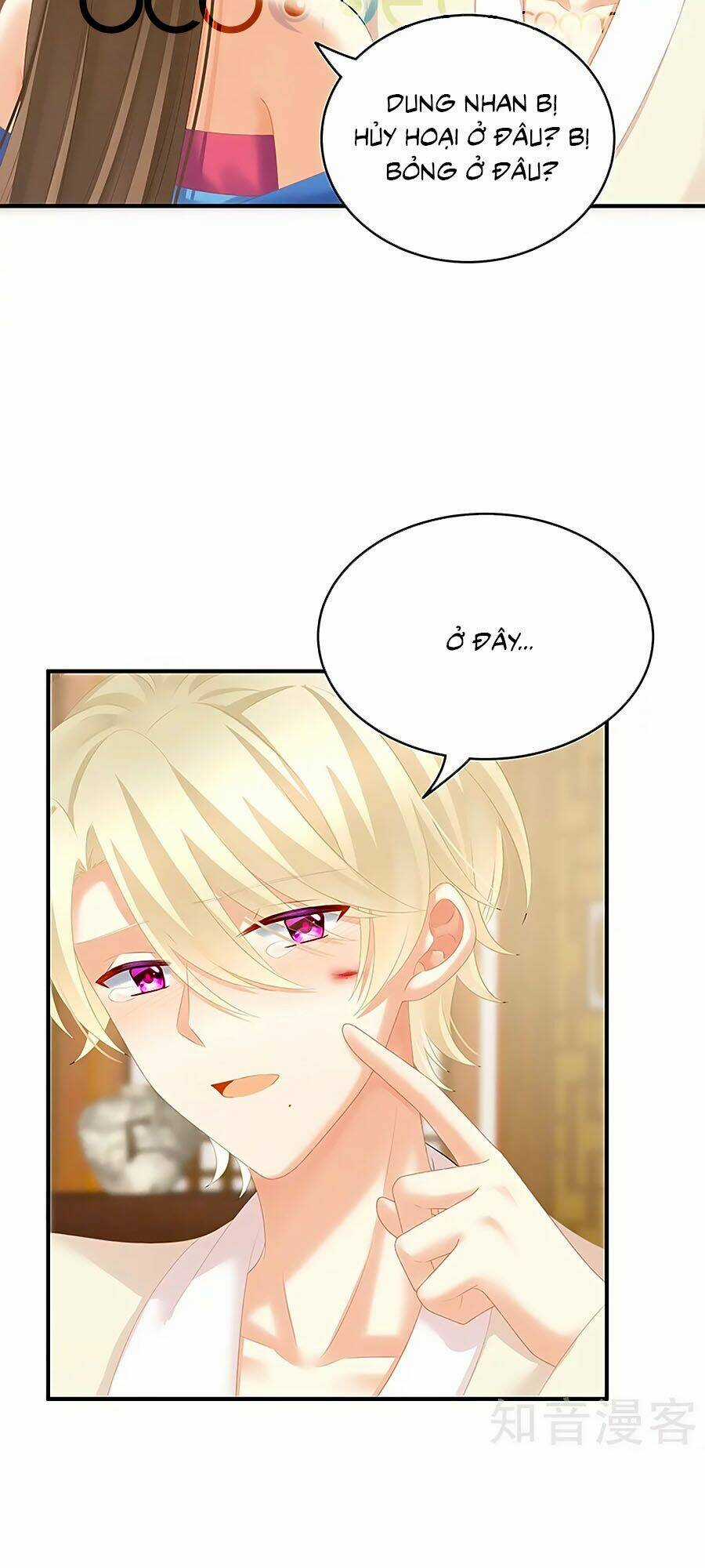 Hậu Cung Của Nữ Đế Chapter 224 trang 3