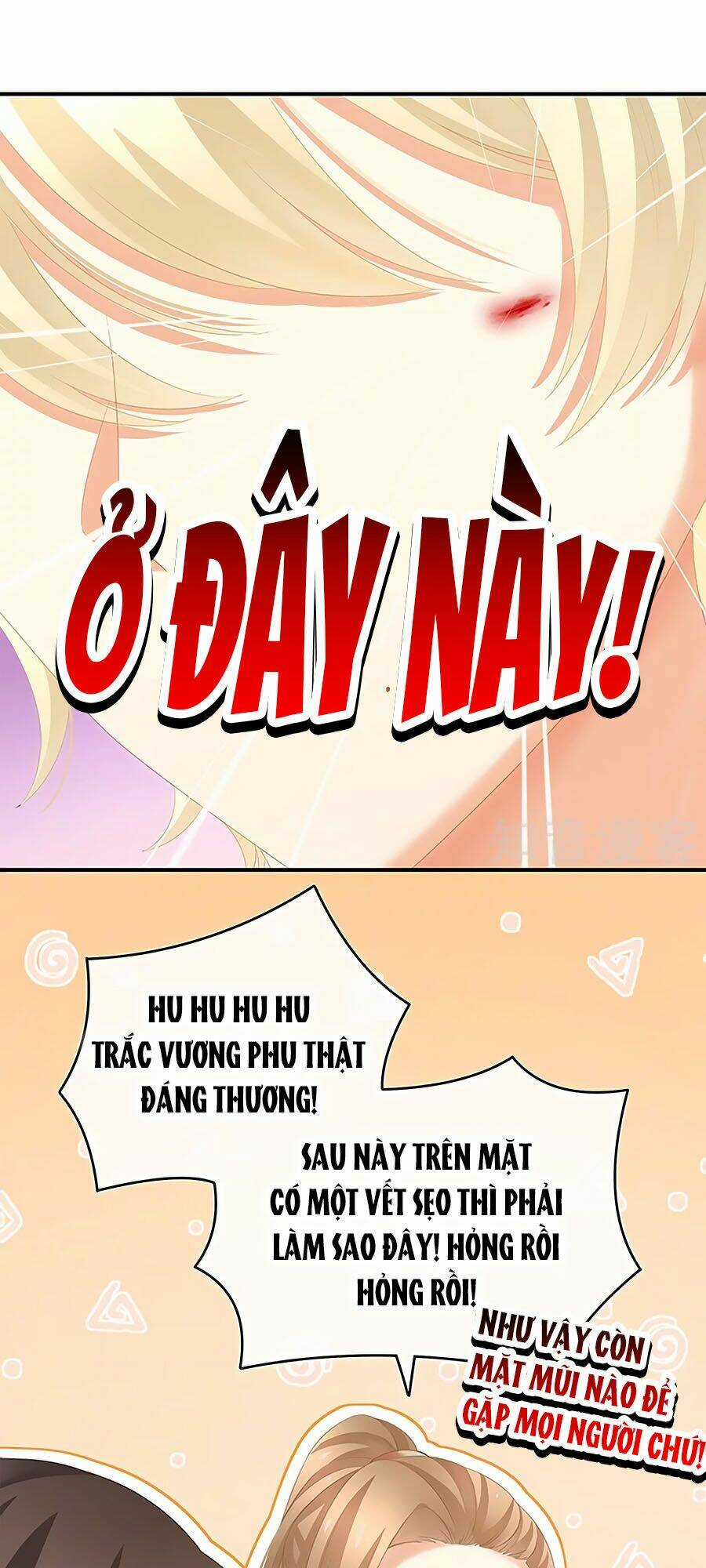Hậu Cung Của Nữ Đế Chapter 224 trang 4