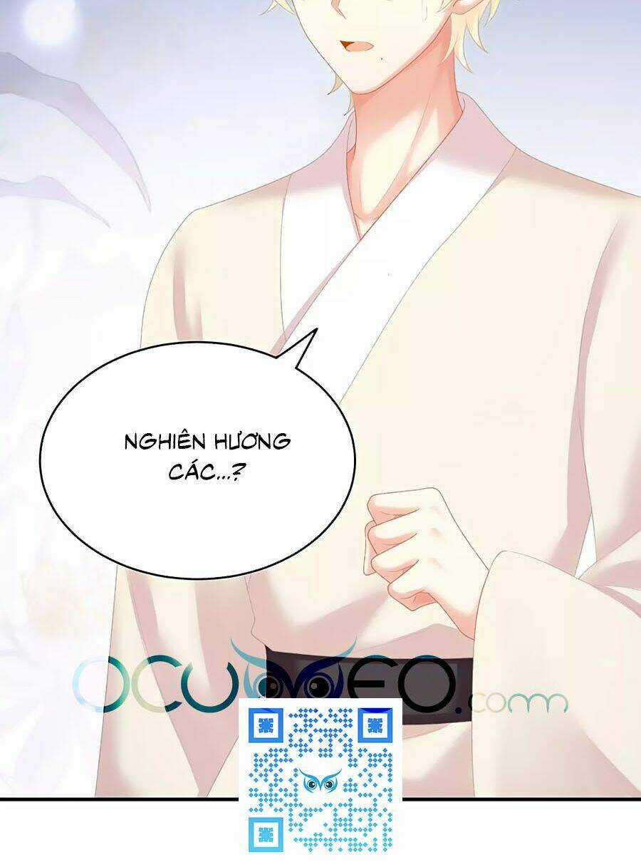 Hậu Cung Của Nữ Đế Chapter 226 trang 35