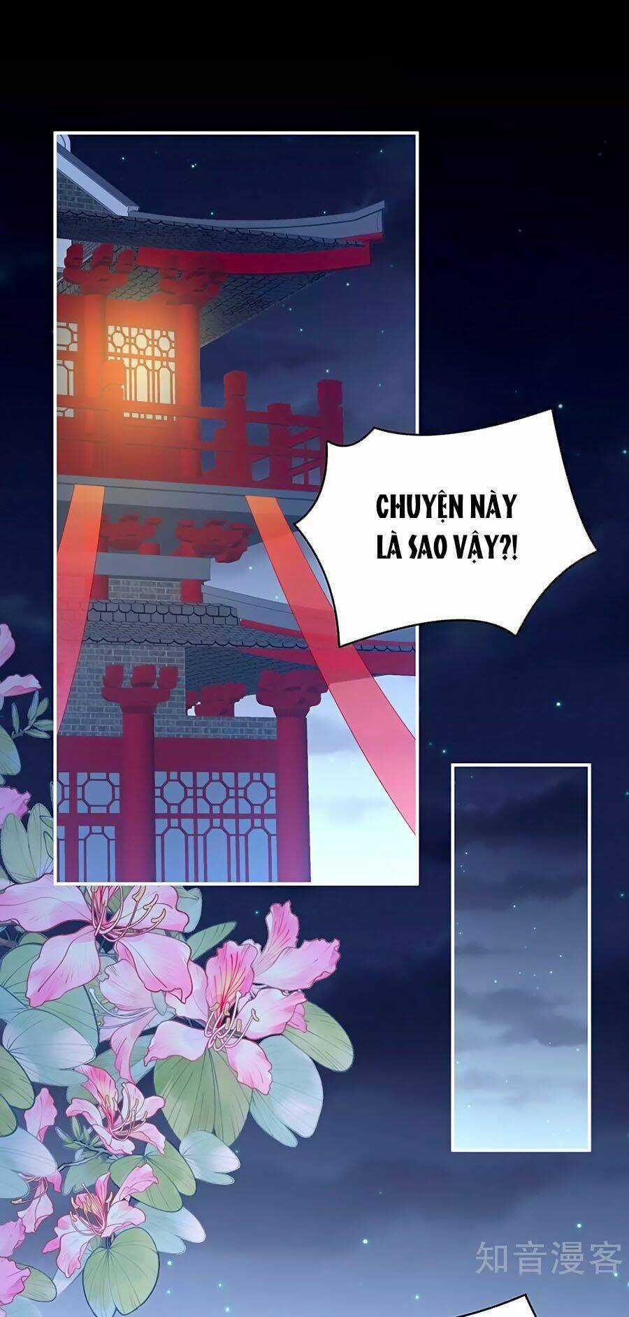 Hậu Cung Của Nữ Đế Chapter 227 trang 0