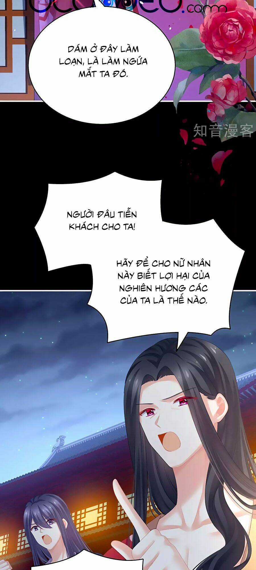 Hậu Cung Của Nữ Đế Chapter 227 trang 33