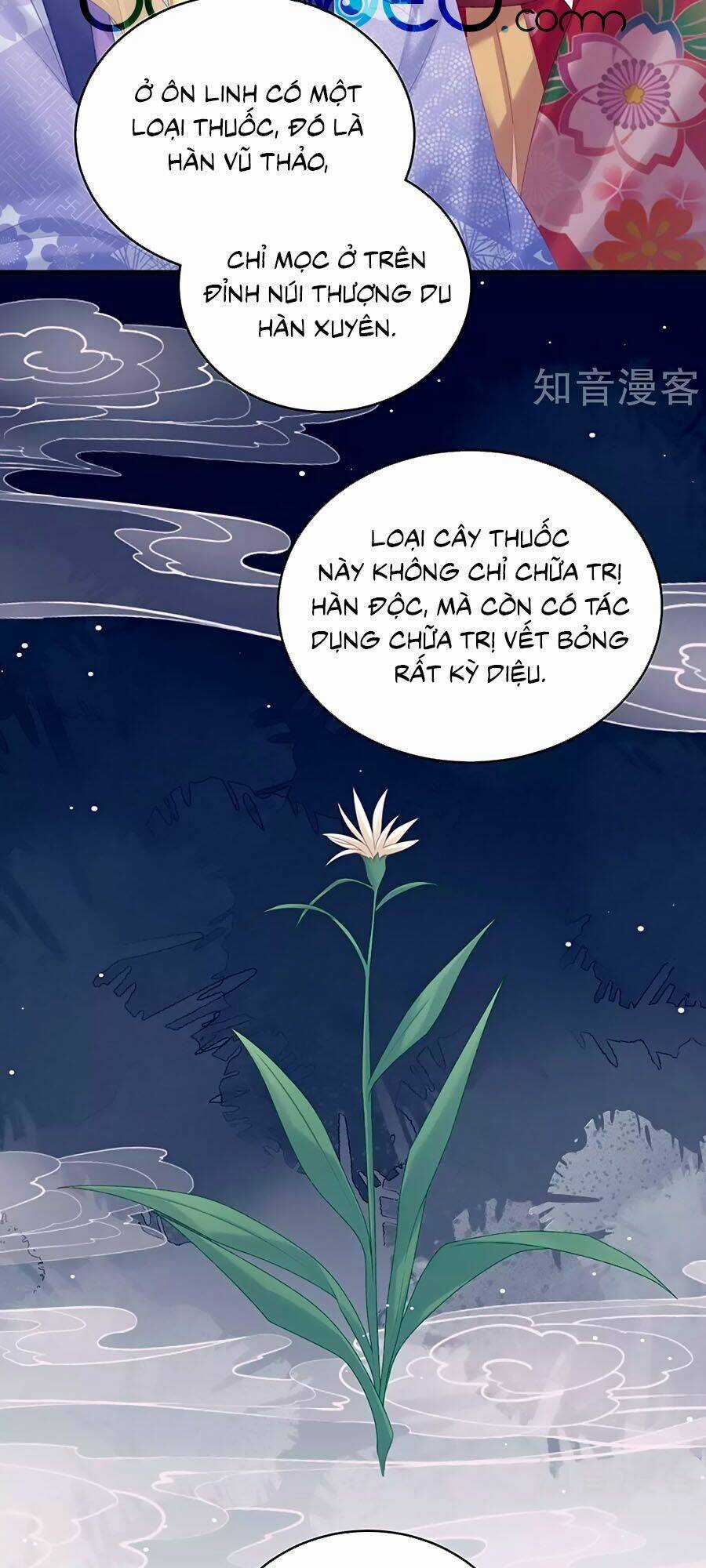 Hậu Cung Của Nữ Đế Chapter 227 trang 7