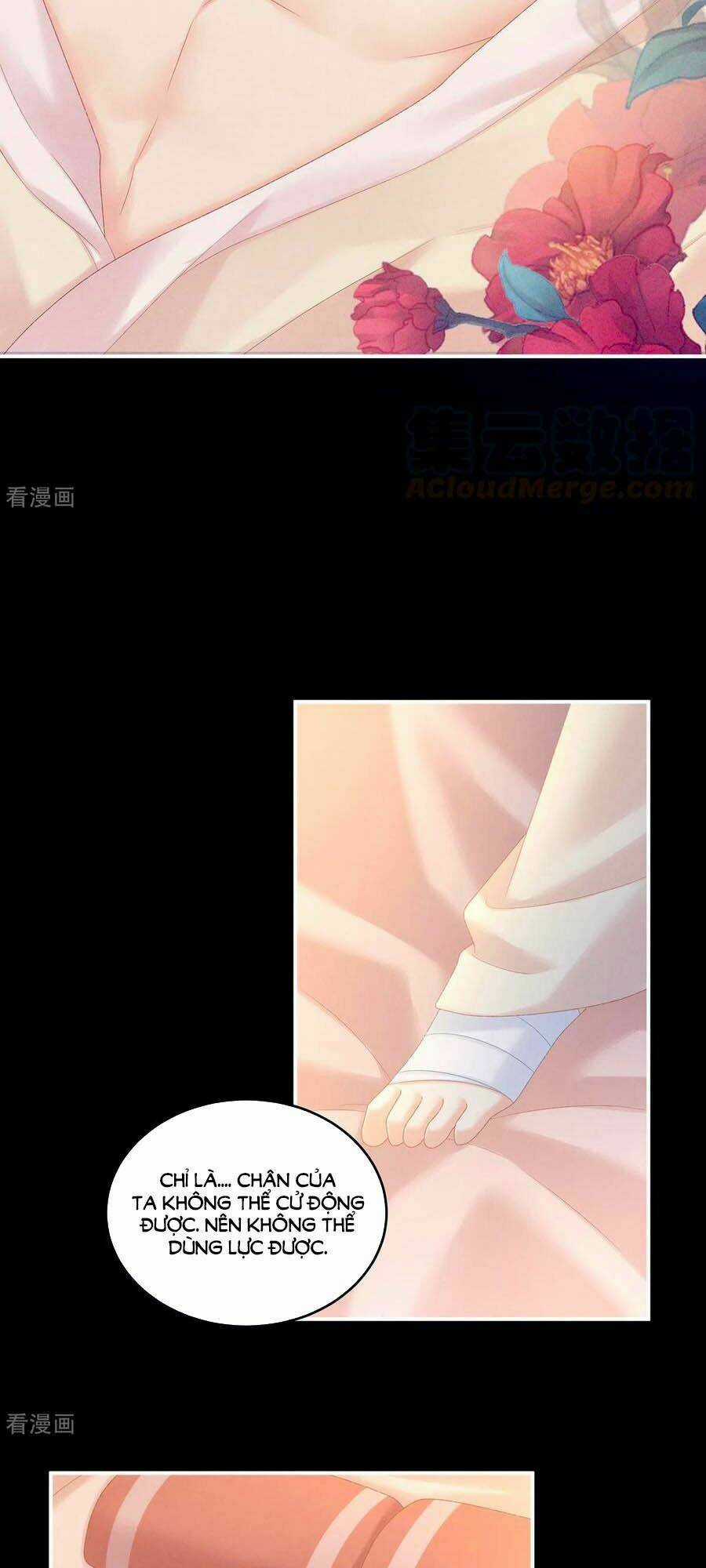 Hậu Cung Của Nữ Đế Chapter 228 trang 25