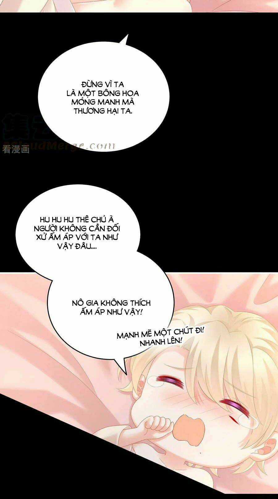 Hậu Cung Của Nữ Đế Chapter 228 trang 35