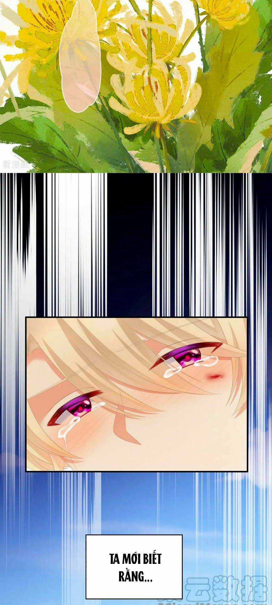 Hậu Cung Của Nữ Đế Chapter 229 trang 2