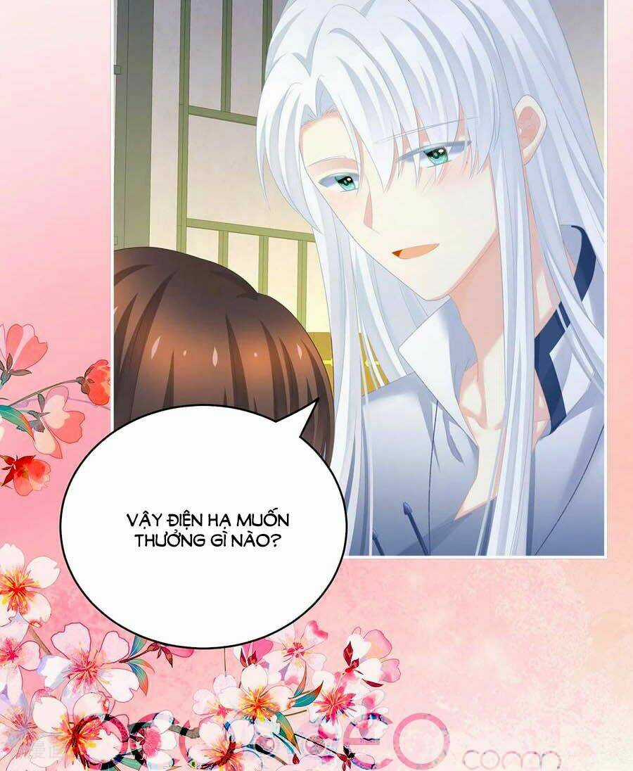 Hậu Cung Của Nữ Đế Chapter 235 trang 19