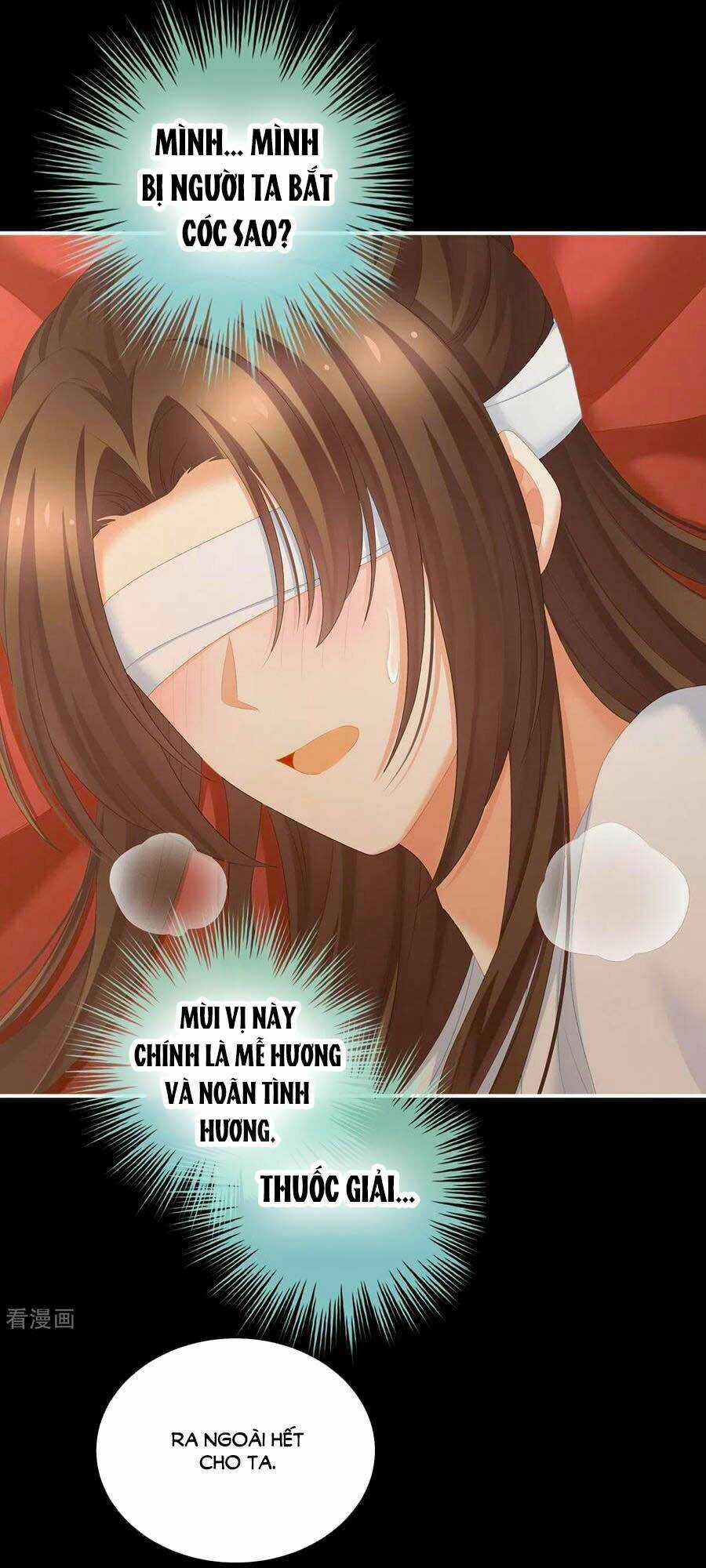 Hậu Cung Của Nữ Đế Chapter 237 trang 11