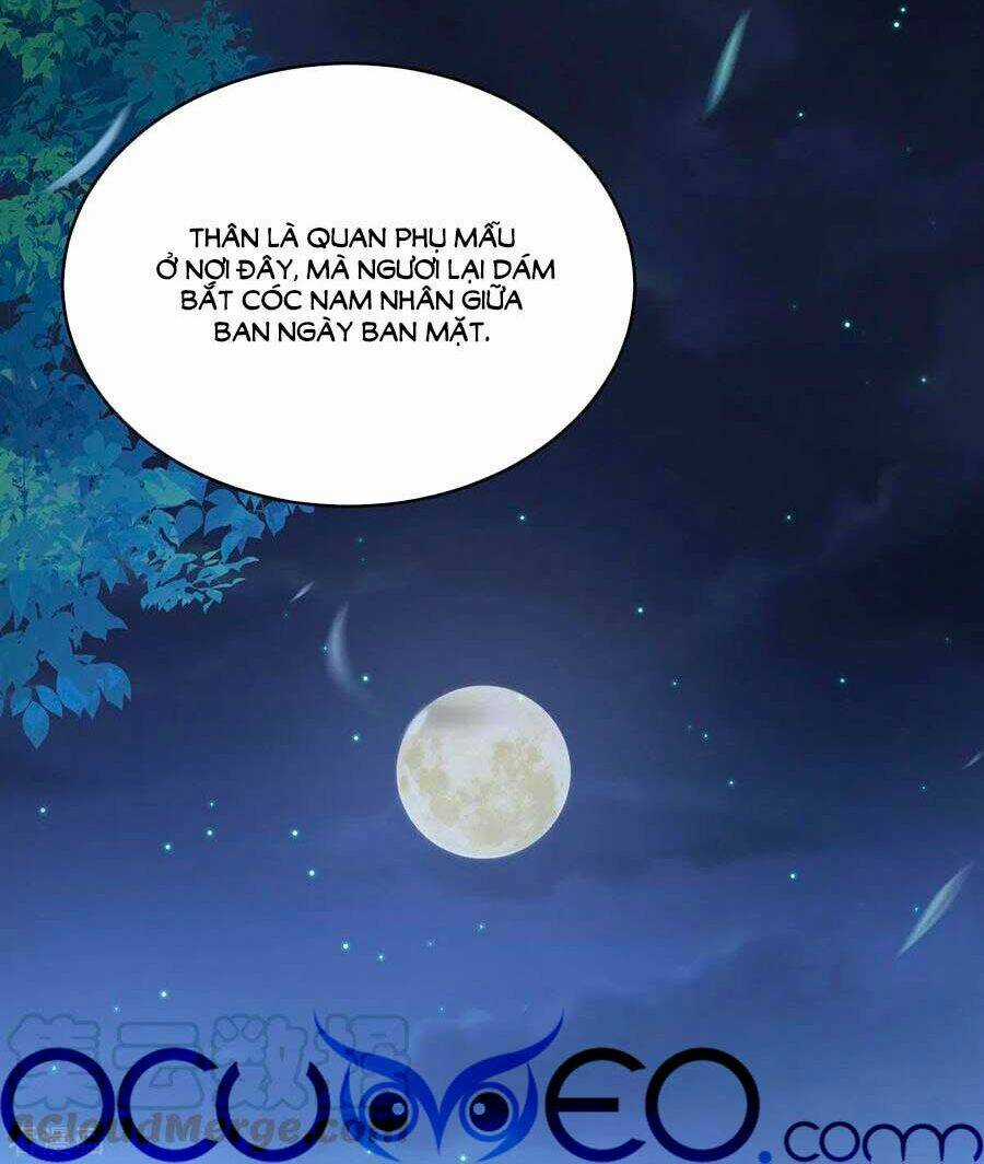 Hậu Cung Của Nữ Đế Chapter 237 trang 35